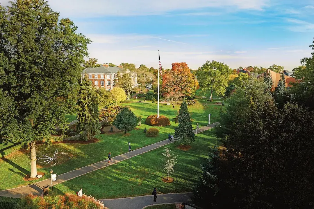 Adelphi University Social Work Programs