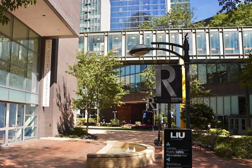 Long Island University Social Work Programs