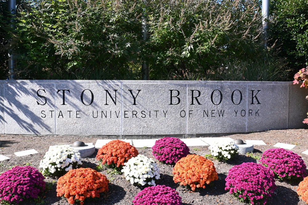 Stony Brook Social Work Programs